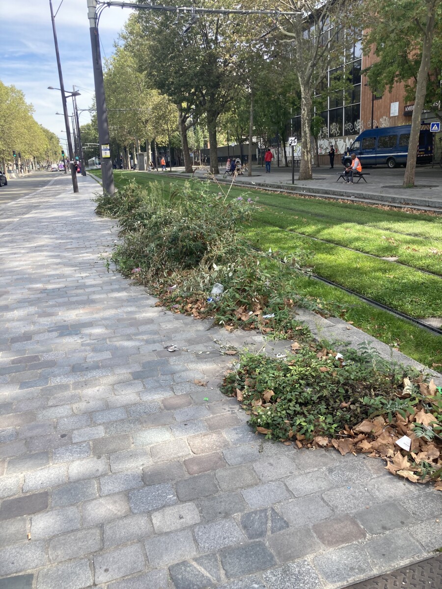 En vidéo....Quels sont les usages et pratiques des espaces publics des habitant.es du quartier